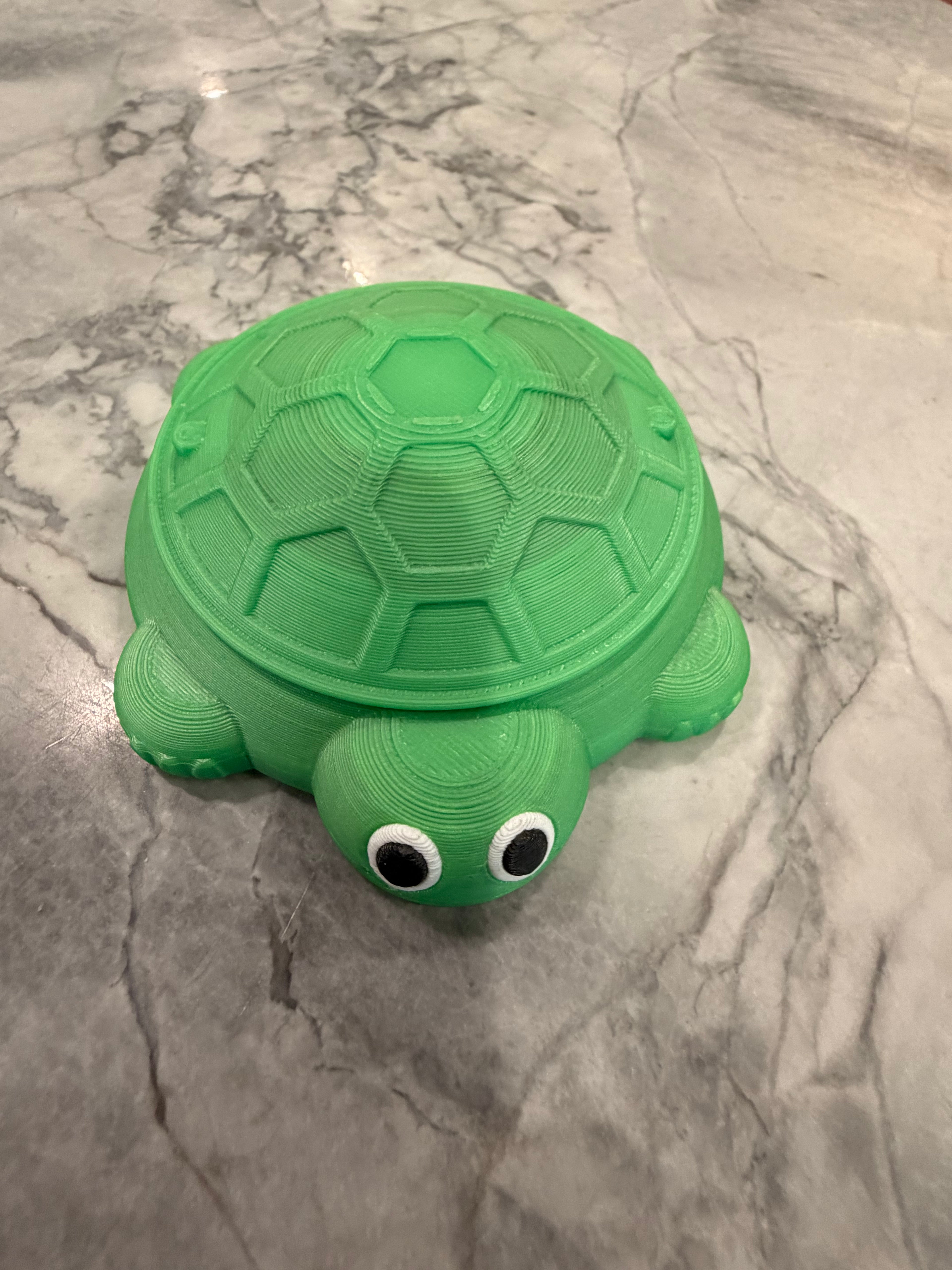 Mini Turtle Sand Box