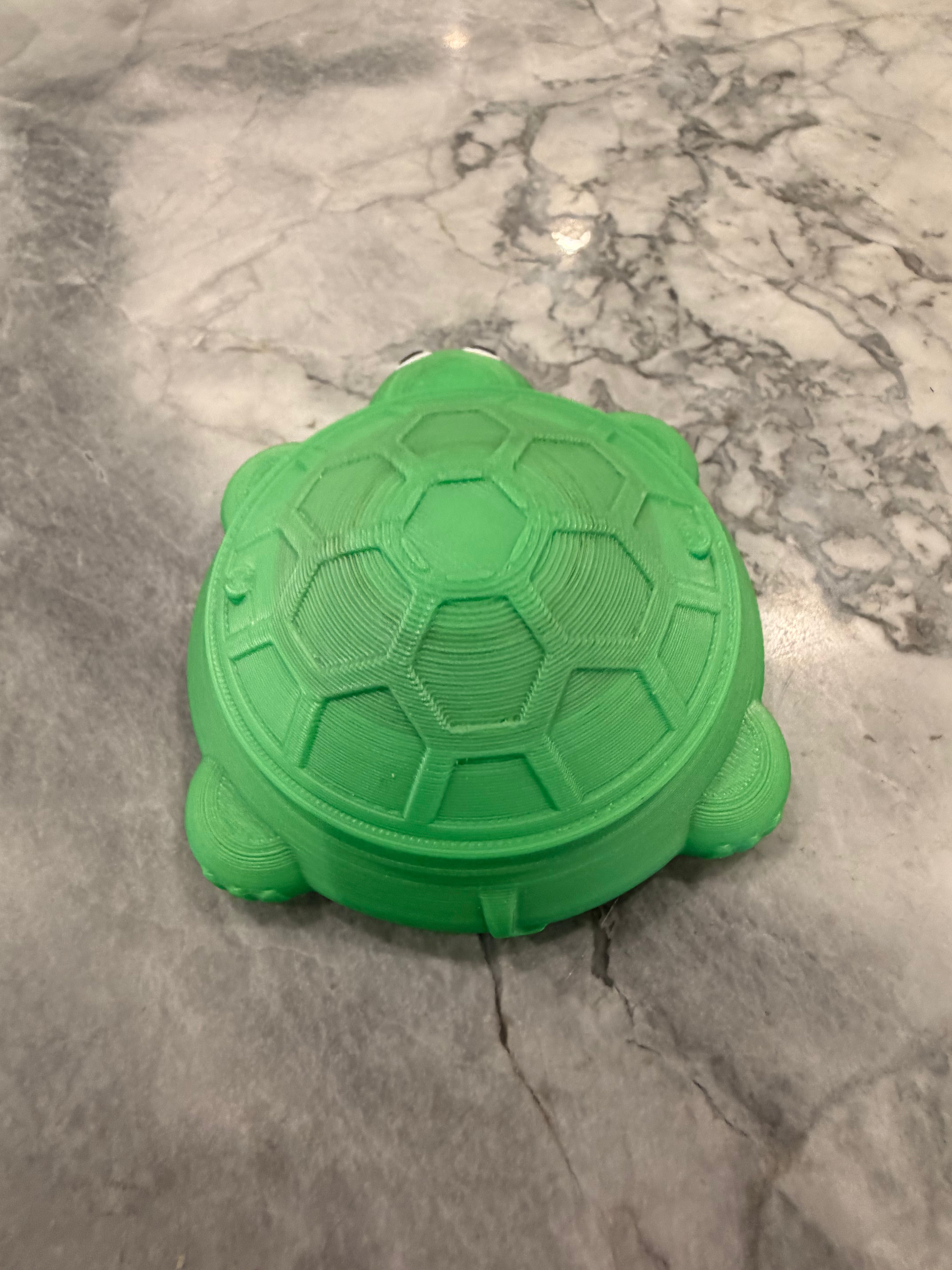 Mini Turtle Sand Box